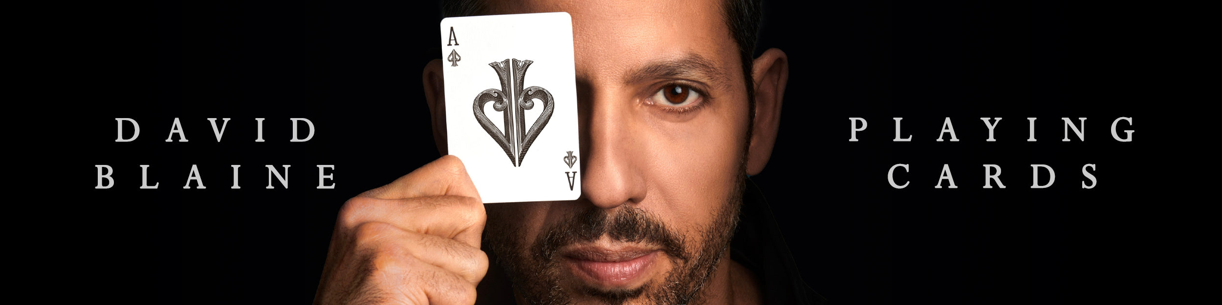 Legendary Decks for Modern Masters